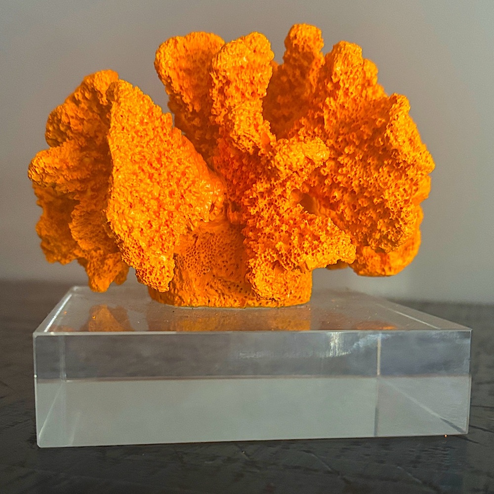 Vibrant Orange Coral Sculpture on Clear Base